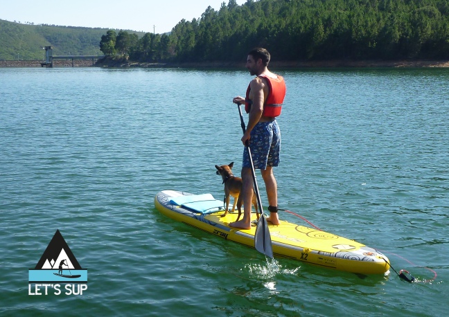 let's sup - dog friendly stand up paddle